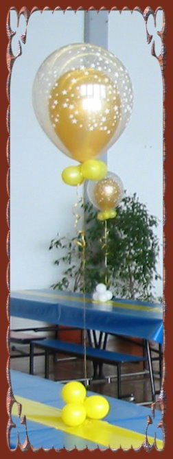 5615 0305HiS